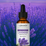 Lavender Botanical Oil Skin & Body Relaxation